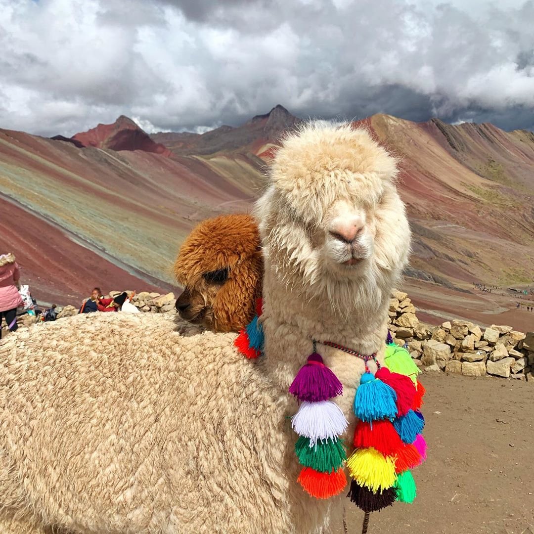 How to visit the mountain of 7 colors - Cusco Machu Picchu