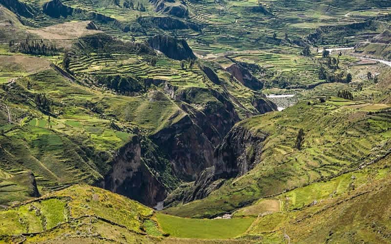 colca canyon best tours